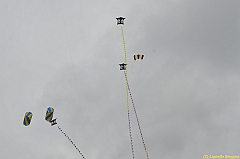 Venice kite festival_0356